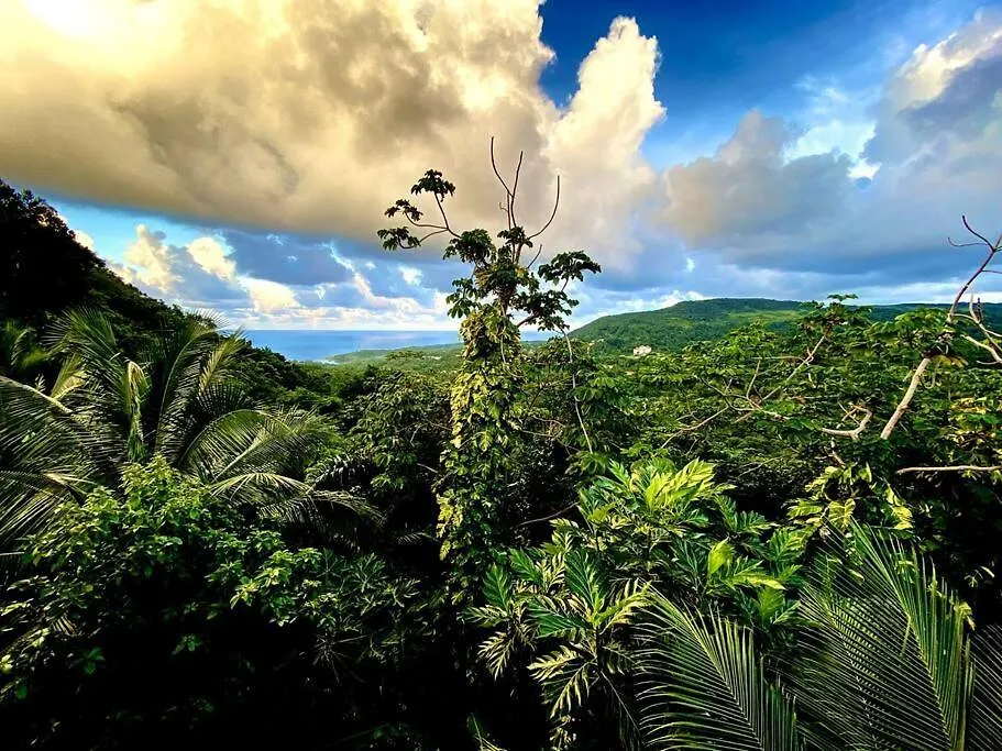 Magical San San Port Antonio Close To Blue Lagoon Frenchman'S Cove